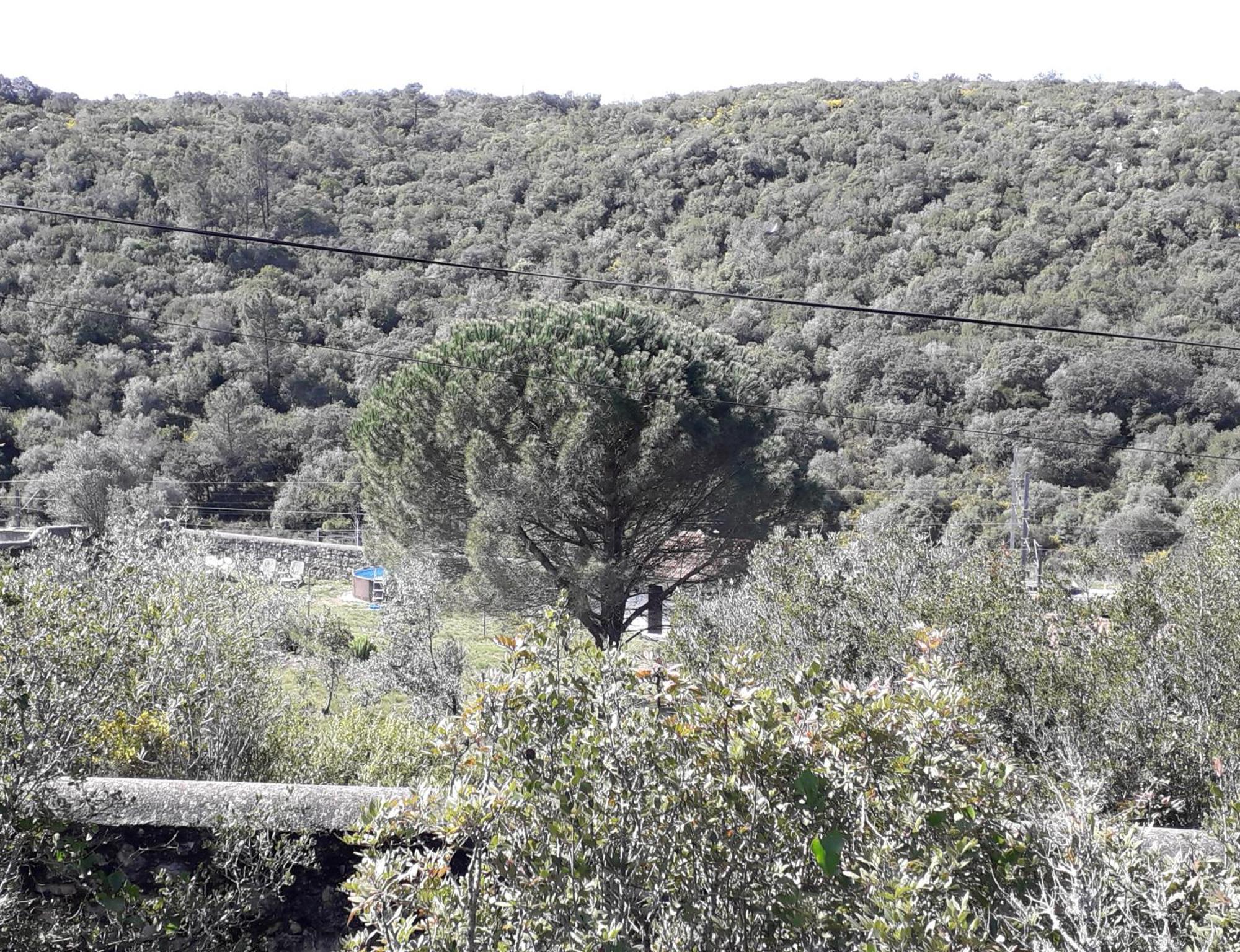 Quinta Da Silva Villa Vale dos Ovos Екстериор снимка